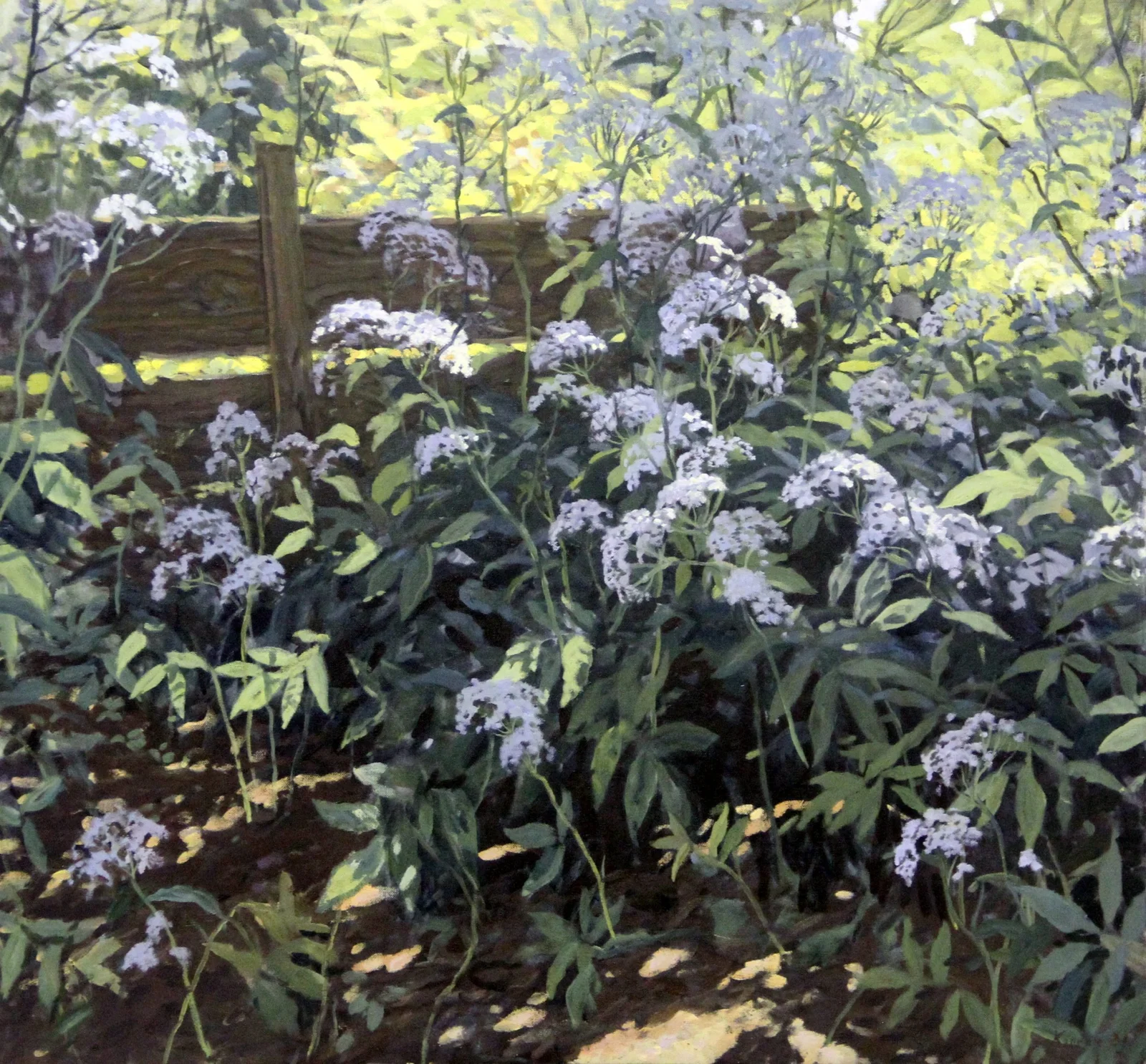 Копняк Валерий Андреевич, «Сныть.Трава», холст, масло, 80 × 86 см