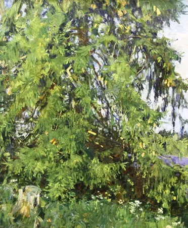 Абакумов Михаил Георгиевич, «Ель у озера», холст, масло, 60 × 50 см